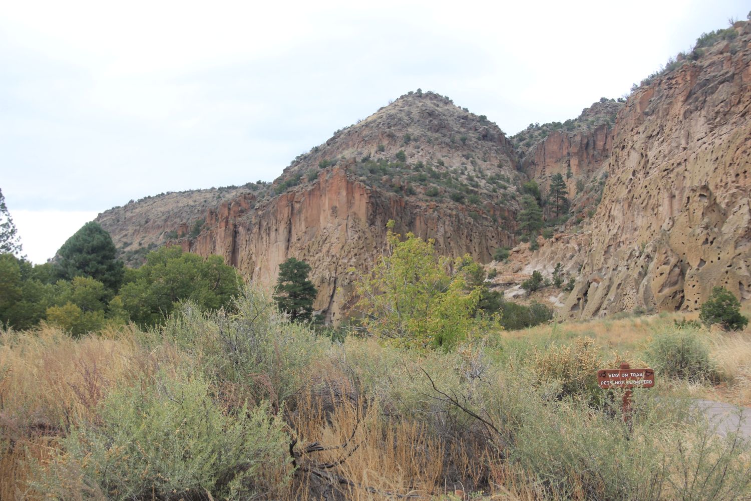 Bandalier National Monument 